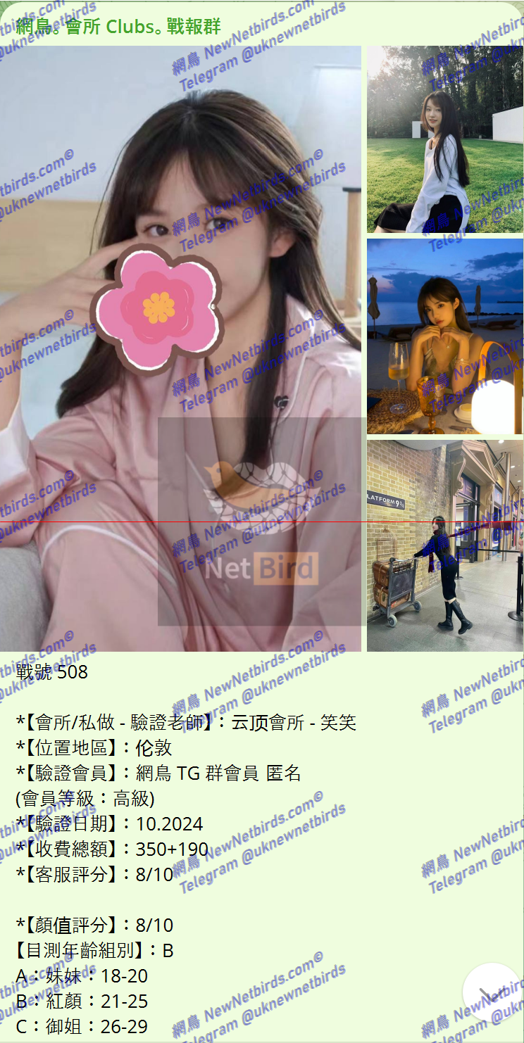 戰號 508 1.png